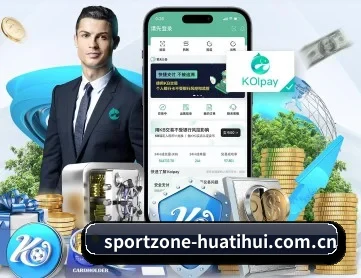 华体会 APP 深度功能
